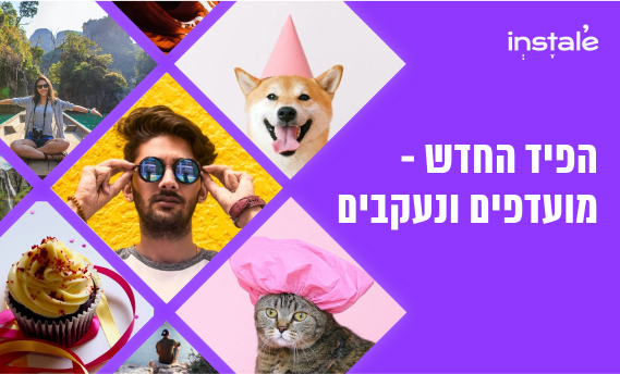 מועדפים ונעקבים